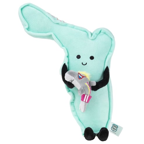 Ron Jon Florida with Surf Cruiser Plush